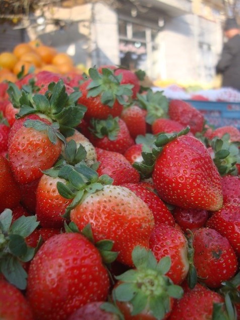توت فرنگی - آیلین فرزان مهر - Aylin Farzan Mehr -StrewBerry